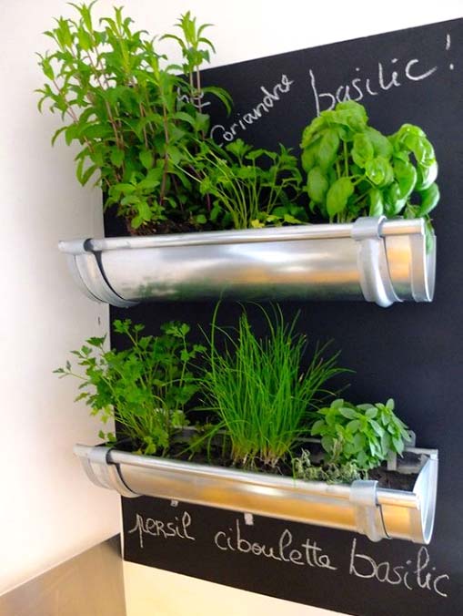 Un potager mural