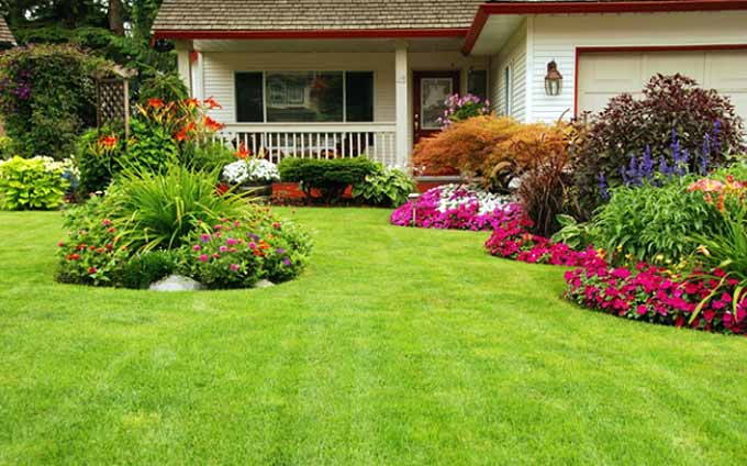 Astuces pour pelouse verte et plates-bandes fleuries - 2