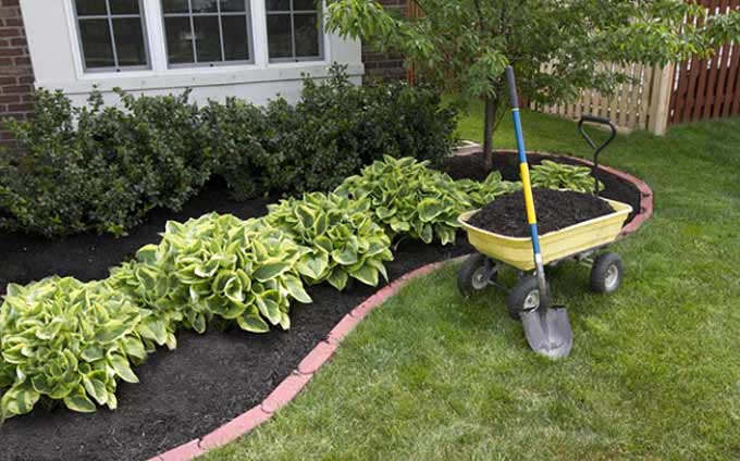 Astuces pour pelouse verte et plates-bandes fleuries - 3