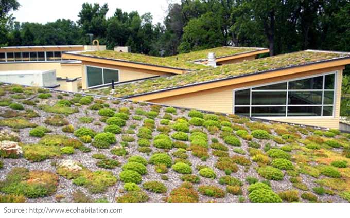 Choosing Between Different Roof Coverings - Green roof