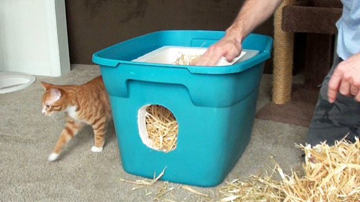 Niche pour chat faite maison dans un bac de plastique