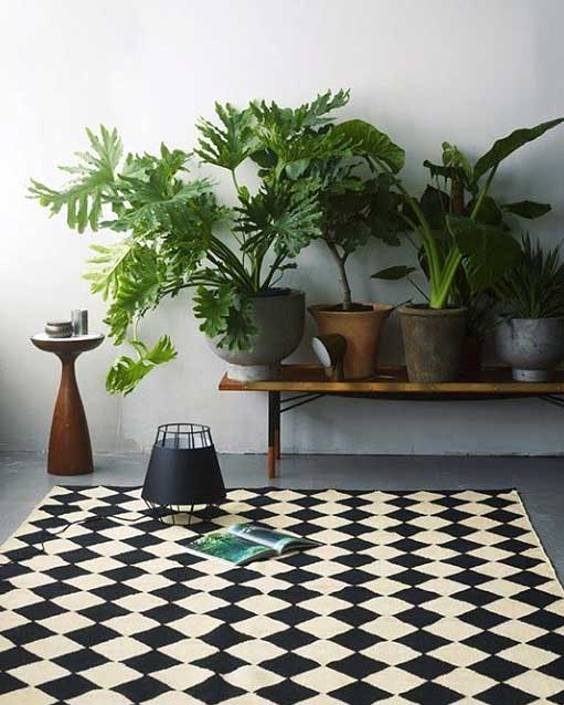 Plantes