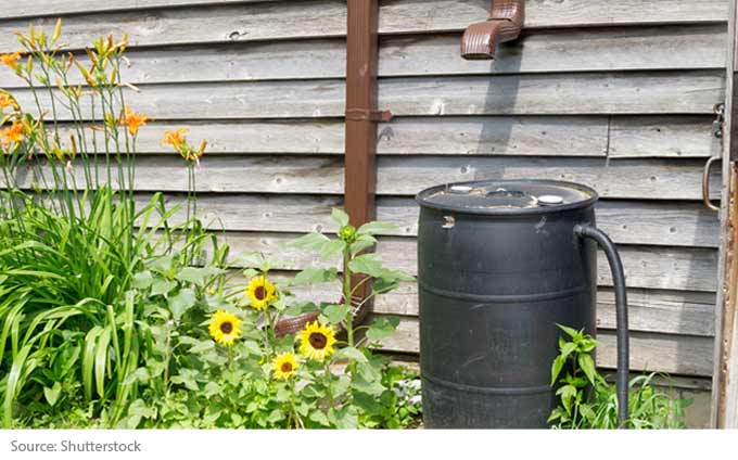 Collecting Rainwater for Your Garden - Centris.ca