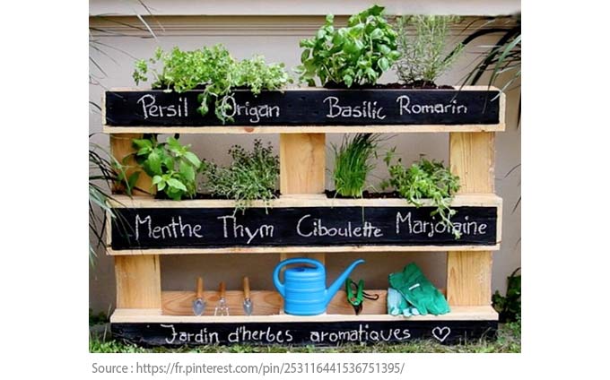 Un potager pour jardiniers en herbe - Les fines herbes