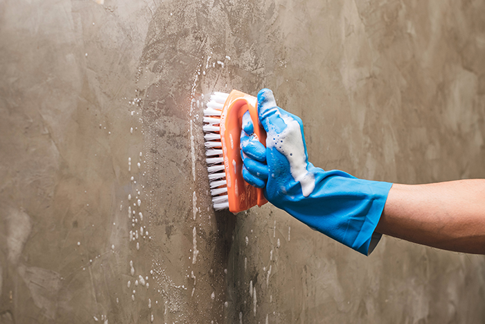 Comment supprimer et nettoyer les moisissures sur un mur ? Les