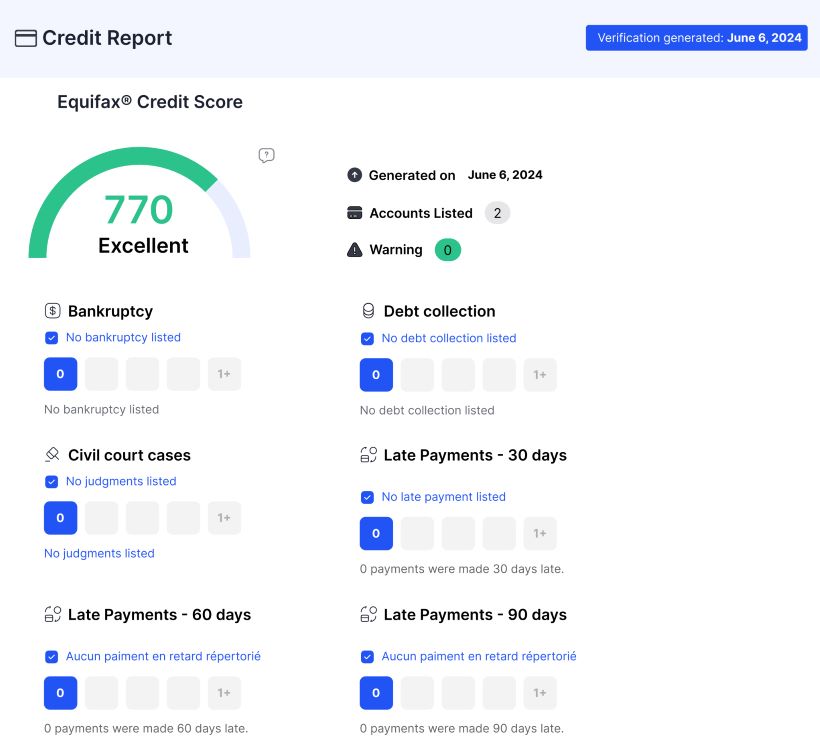 Trustii credit report example